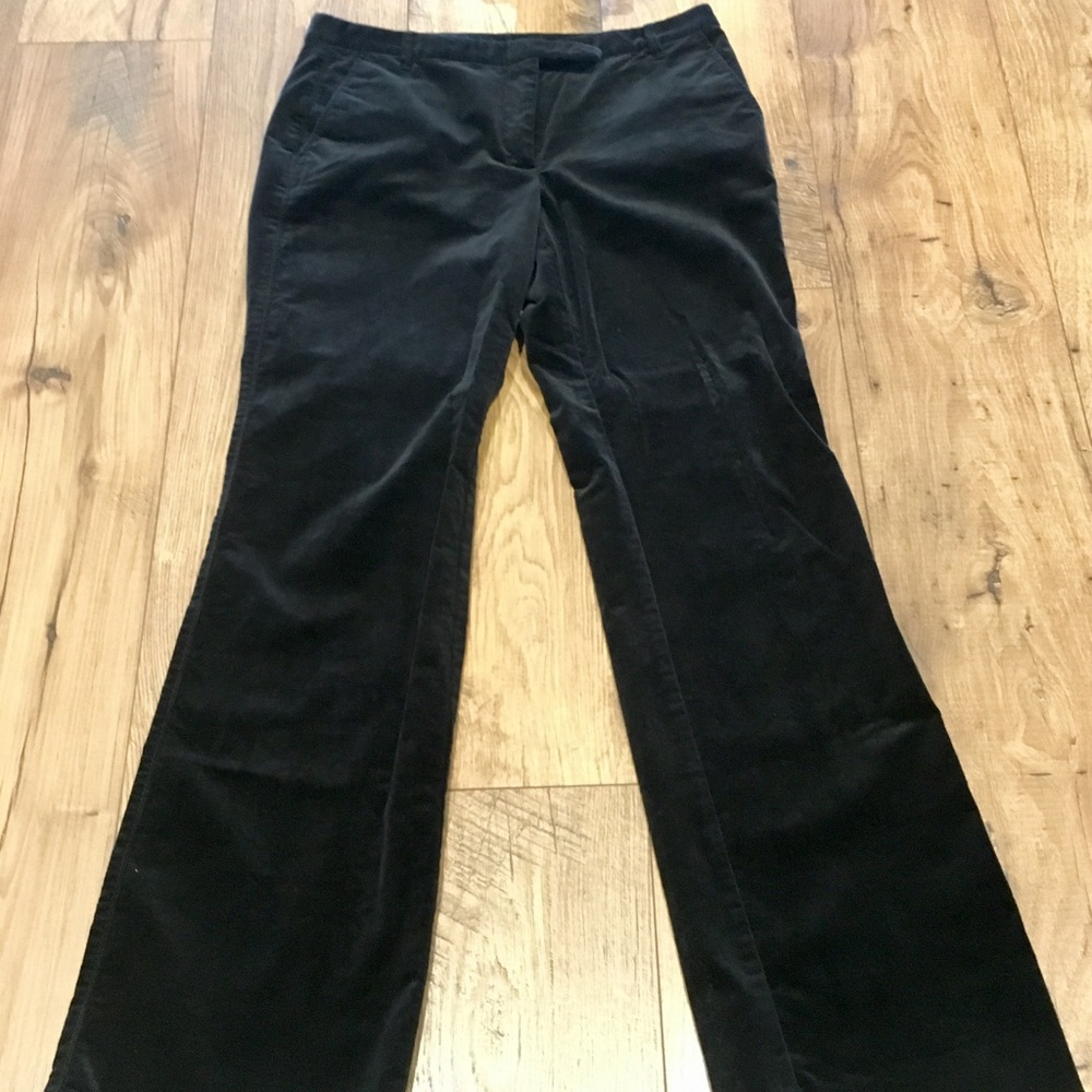 Ann Taylor Loft Suede Pants- NWOT